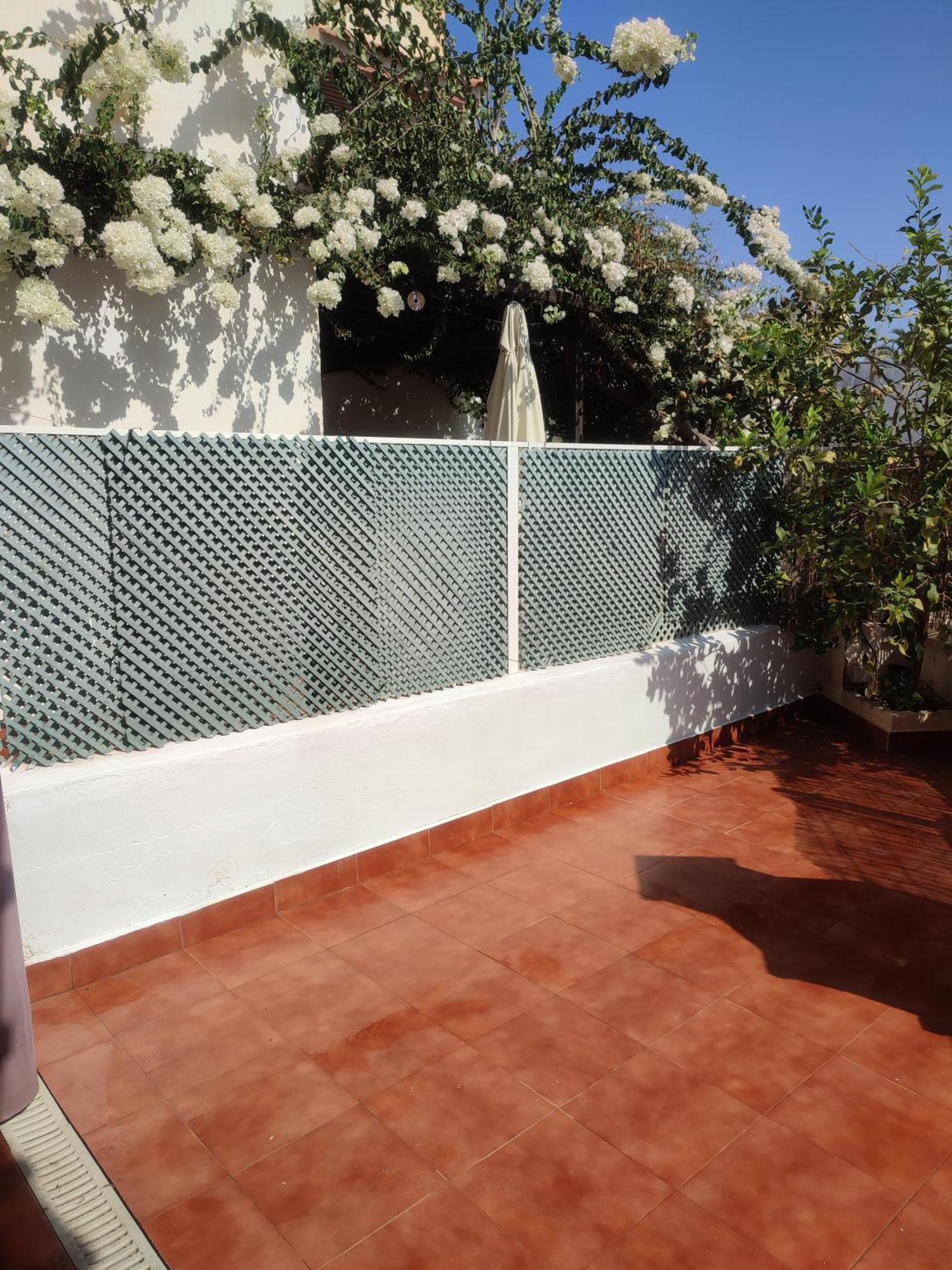 Apartment Zona Naturista مْبيرا المظهر الخارجي الصورة